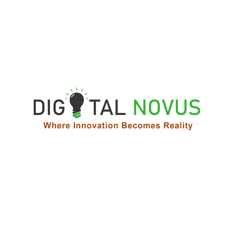 Digital Novus logo