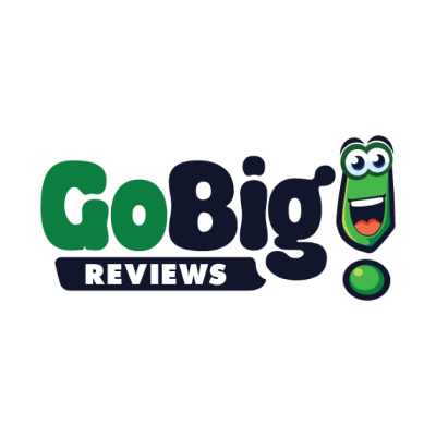 Go Big Reviews: Boost Your Online Reputation Instantly logo